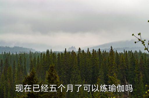 現在已經五個月了可以練瑜伽嗎