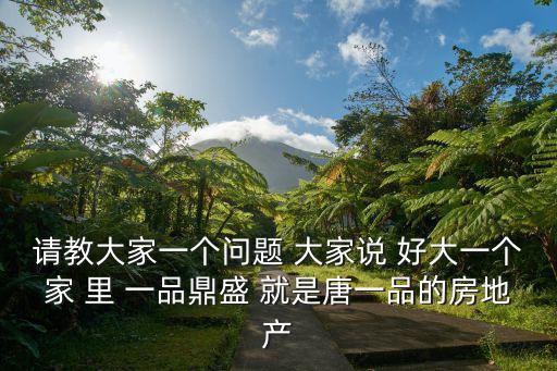 請教大家一個問題 大家說 好大一個家 里 一品鼎盛 就是唐一品的房地產