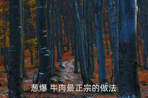 蔥爆牛肉的做法,牛柳切片大蔥切絲醬油適量
