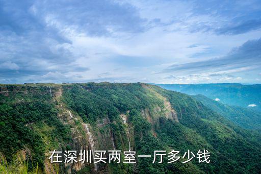 在深圳買兩室一廳多少錢