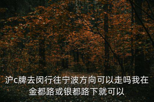 上海市閔行區銀都路金都路，上海市閔行區銀都路金盛國際家居的街道辦事處在哪