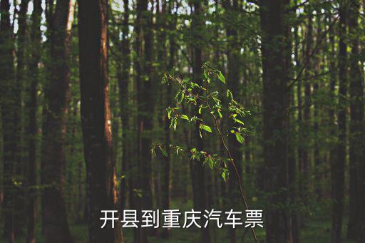 開縣到重慶汽車票