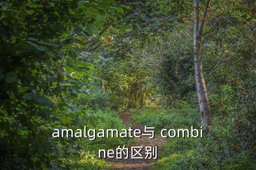 combine的名詞,謎底揭曉!一文看懂!!!