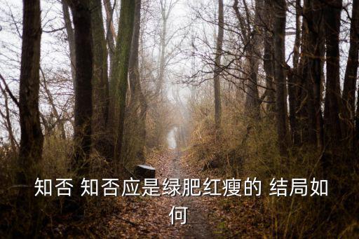  知否 知否應(yīng)是綠肥紅瘦的 結(jié)局如何