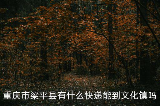 重慶市梁平縣有什么快遞能到文化鎮嗎