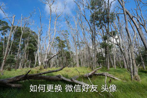 如何更換 微信好友 頭像