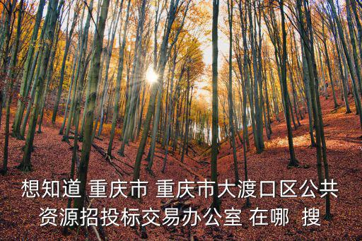 想知道 重慶市 重慶市大渡口區公共資源招投標交易辦公室 在哪  搜