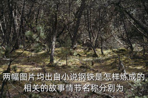 兩幅圖片均出自小說鋼鐵是怎樣煉成的相關的故事情節名稱分別為