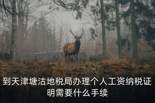 到天津塘沽地稅局辦理個人工資納稅證明需要什么手續