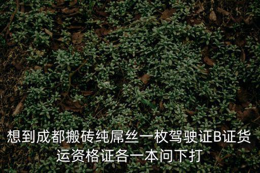 想到成都搬磚純屌絲一枚駕駛證B證貨運(yùn)資格證各一本問(wèn)下打