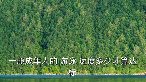 一般成年人的 游泳 速度多少才算達標