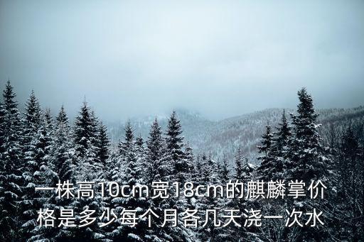 一株高10cm寬18cm的麒麟掌價格是多少每個月各幾天澆一次水