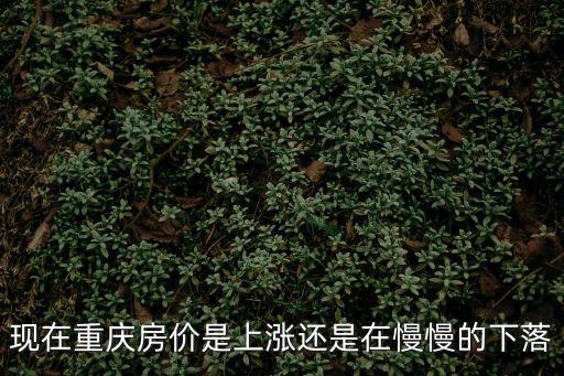 重慶市最近房價走勢，如何看待重慶房價2017年和今后的走勢