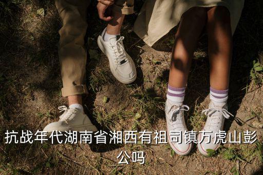 湖南抗戰，抗戰年代湖南省湘西有祖司鎮萬虎山彭公嗎