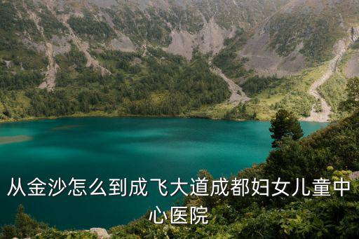 從金沙怎么到成飛大道成都婦女兒童中心醫(yī)院