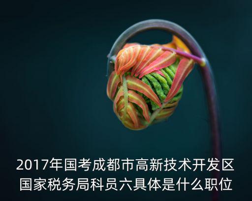 2017年國考成都市高新技術開發區國家稅務局科員六具體是什么職位