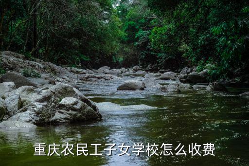 重慶農(nóng)民工子女學(xué)校怎么收費(fèi)