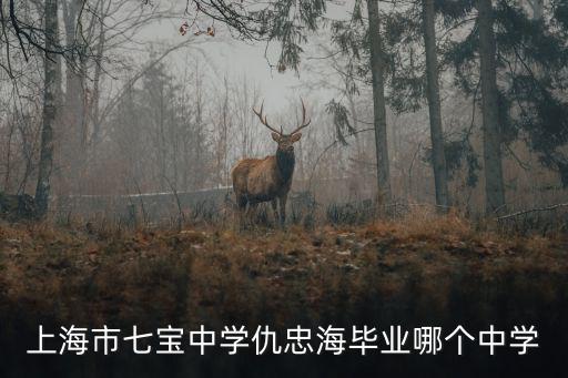上海市七寶中學仇忠海畢業哪個中學