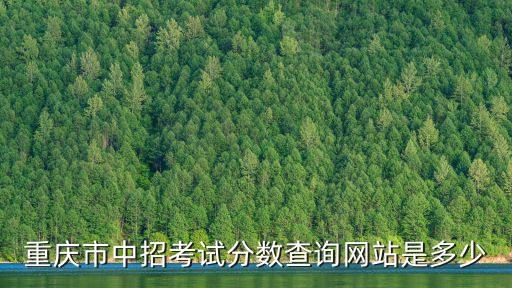 重慶市中招考試分?jǐn)?shù)查詢網(wǎng)站是多少