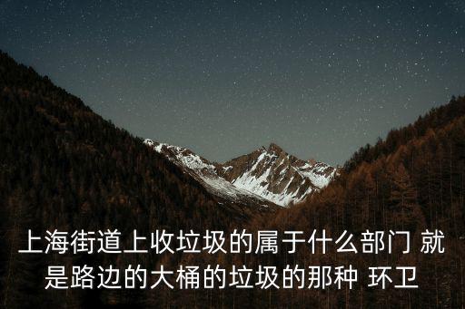 上海街道上收垃圾的屬于什么部門 就是路邊的大桶的垃圾的那種 環衛