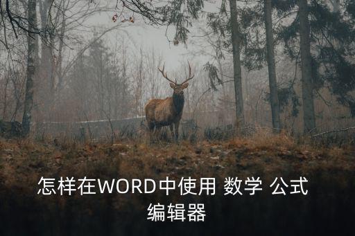 怎樣在WORD中使用 數學 公式 編輯器