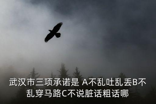 武漢市三項承諾是 A不亂吐亂丟B不亂穿馬路C不說臟話粗話哪
