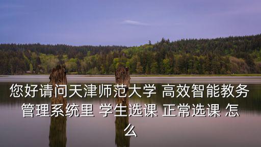 天津市師范大學教務系統，您好請問天津師范大學 高效智能教務管理系統里 學生選課 正常選課 怎么