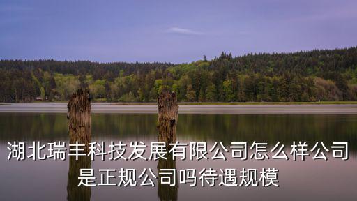 湖北瑞豐科技發展有限公司怎么樣公司是正規公司嗎待遇規模
