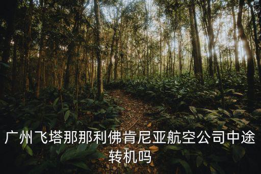 肯尼亞航空是否停飛廣州，肯尼亞航空飛往廣州的晚點概率多少呢