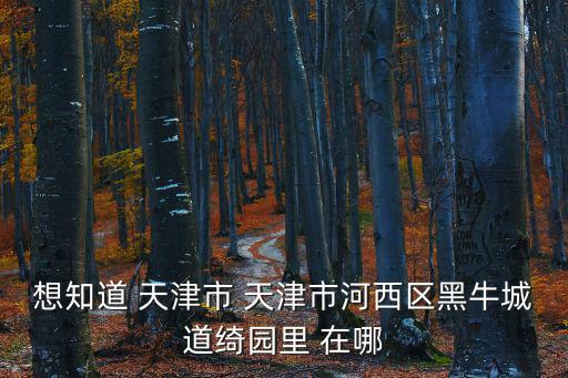 天津市河西區紫金山路綺園里，天津河西紫金山路附近24小時藥店