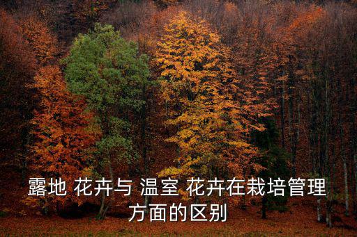露地 花卉與 溫室 花卉在栽培管理方面的區別
