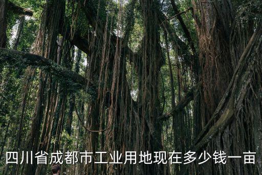 四川省成都市工業用地現在多少錢一畝