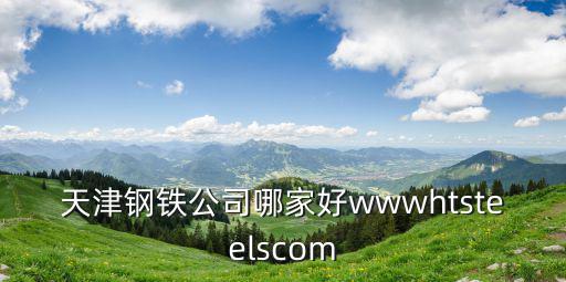 天津鋼鐵公司哪家好wwwhtsteelscom