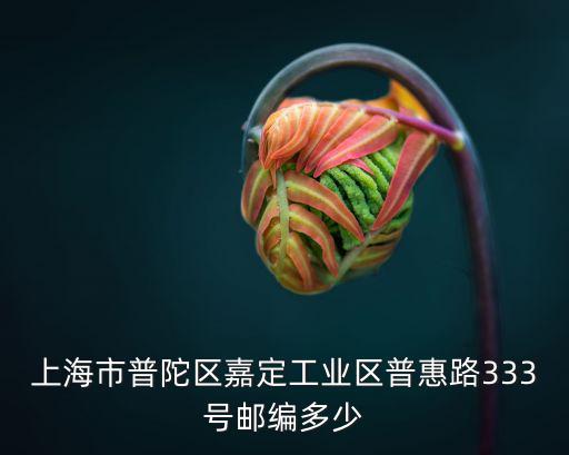 上海市普陀區嘉定工業區普惠路333號郵編多少