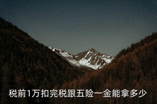 稅前1萬扣完稅跟五險一金能拿多少