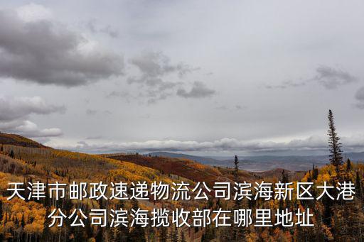 天津市郵政速遞物流公司濱海新區大港分公司濱海攬收部在哪里地址
