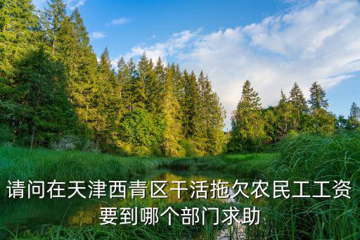 請問在天津西青區干活拖欠農民工工資要到哪個部門求助