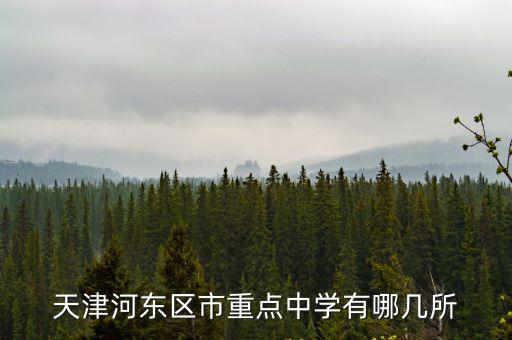 天津河?xùn)|區(qū)市重點中學(xué)有哪幾所