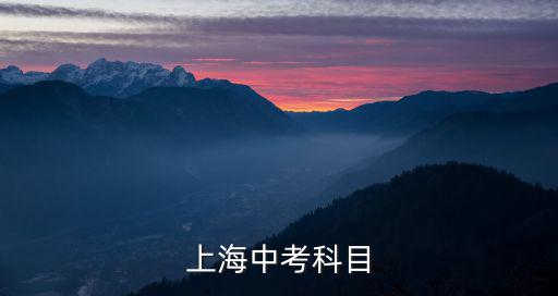 上海市初中體育學業水平考試，上海中考科目