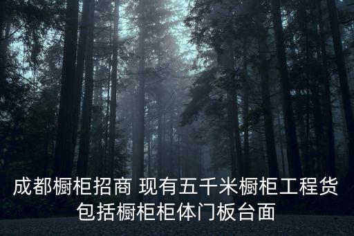 成都櫥柜招商 現(xiàn)有五千米櫥柜工程貨包括櫥柜柜體門(mén)板臺(tái)面