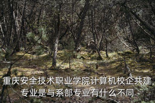重慶市安全專家黃偉，我在重慶市安全生產(chǎn)監(jiān)督管理局特種作業(yè)高壓電工作業(yè)操作證在今
