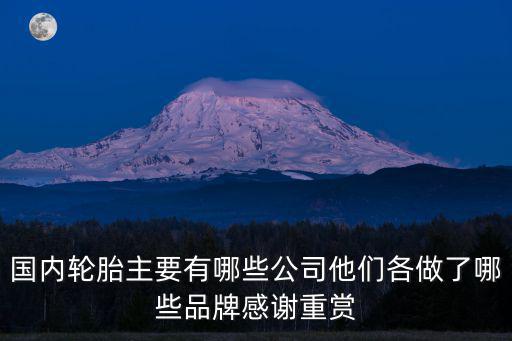 國內輪胎主要有哪些公司他們各做了哪些品牌感謝重賞
