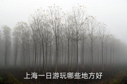 上海一日游玩哪些地方好