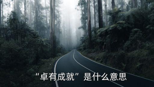 “卓有成就”是什么意思