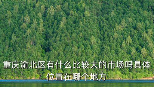 重慶渝北區(qū)有什么比較大的市場嗎具體位置在哪個(gè)地方