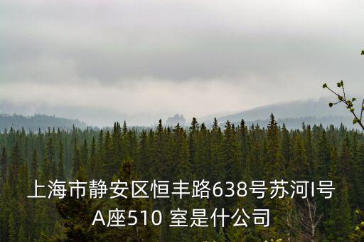 上海市靜安區(qū)恒豐路638號蘇河I號A座510 室是什公司