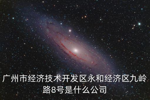 廣州市經(jīng)濟技術(shù)開發(fā)區(qū)永和經(jīng)濟區(qū)九嶺路8號是什么公司