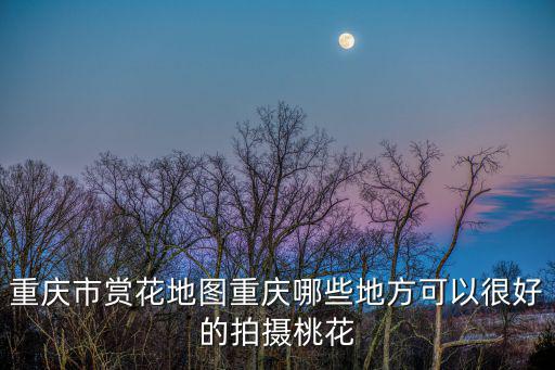 重慶市賞花地圖重慶哪些地方可以很好的拍攝桃花