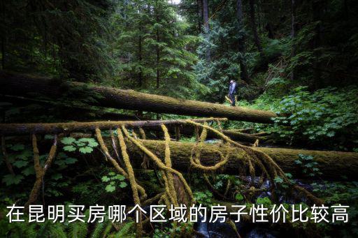 在昆明買房哪個區域的房子性價比較高