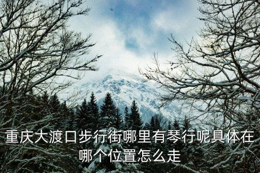 重慶大渡口步行街哪里有琴行呢具體在哪個位置怎么走